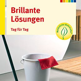 Brillante Lösungen - Tag für Tag 